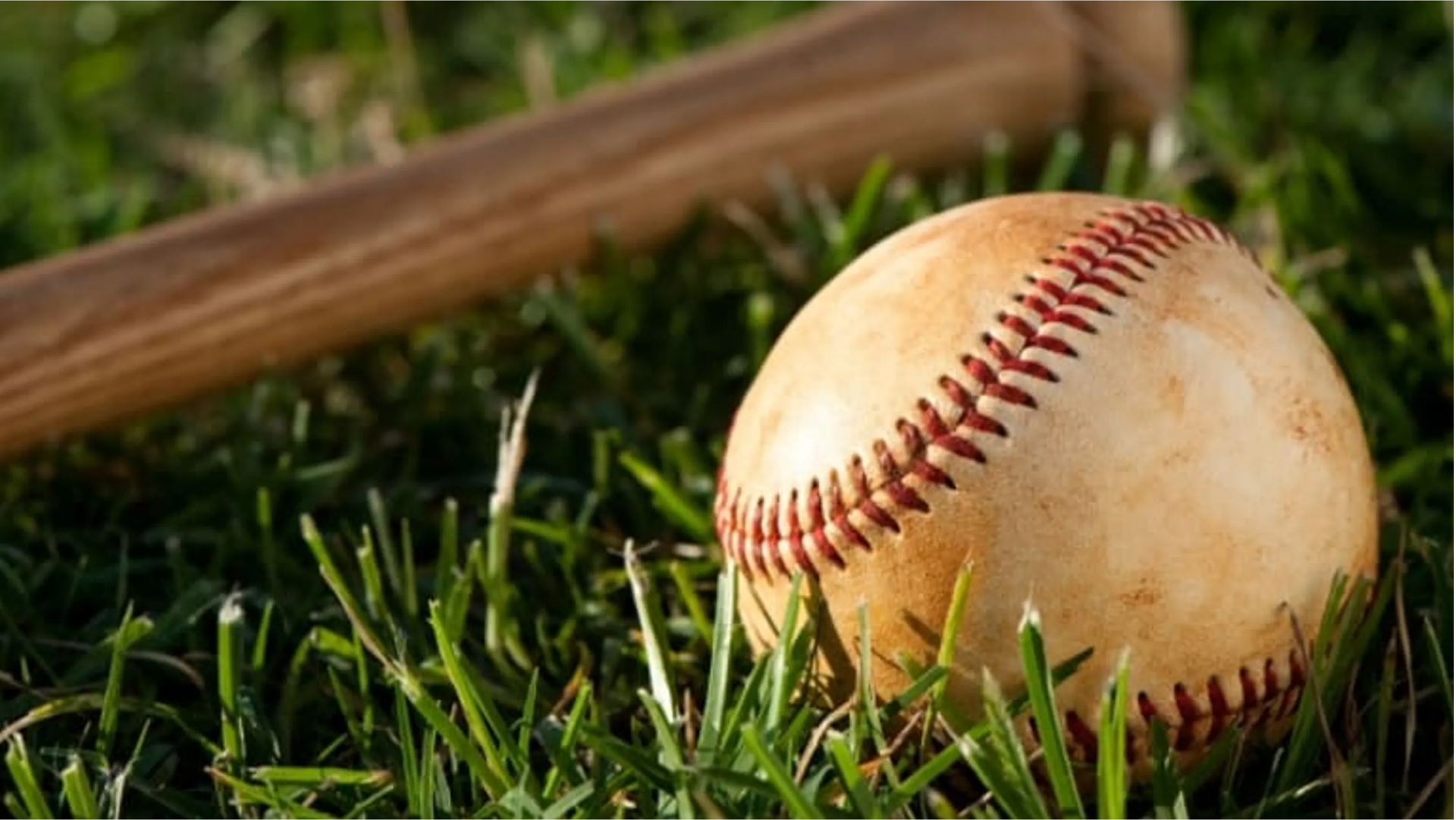 SnakeBET|Прогнозы и ставки на бейсбол